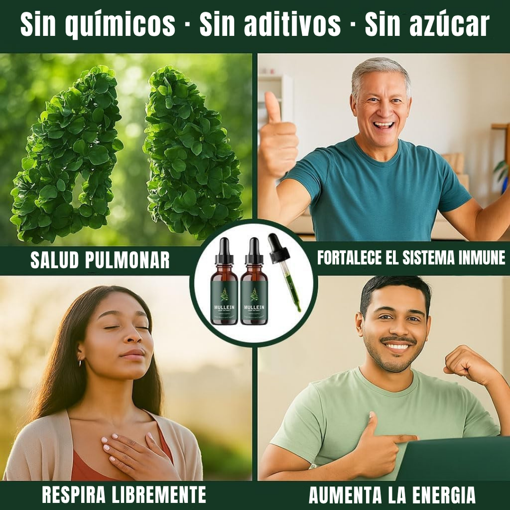 Limpieza Pulmonar Gordolobo + Clorofila